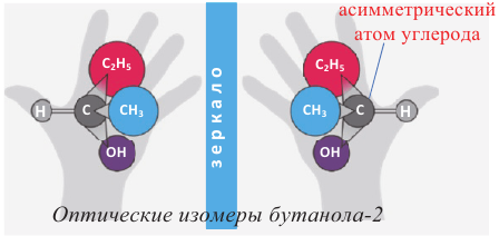 Кислородсодержащие органические соединения в химии - формулы и определения с примерами