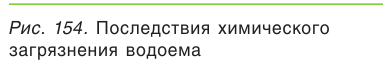 Место химии в системе наук - роль и значение с примерами