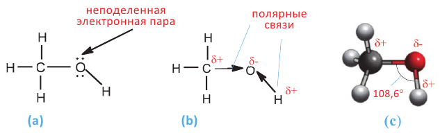 Кислородсодержащие органические соединения в химии - формулы и определения с примерами