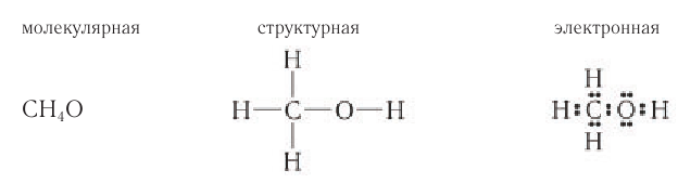 Спирты в химии - свойства, формула, получение, номенклатура и определение с примерами