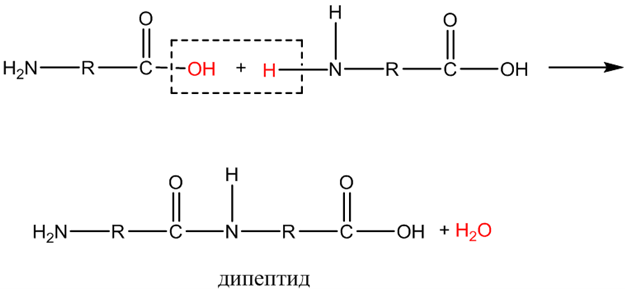 Органическая химия - основные понятия, что изучает, формулы и определения с примерами