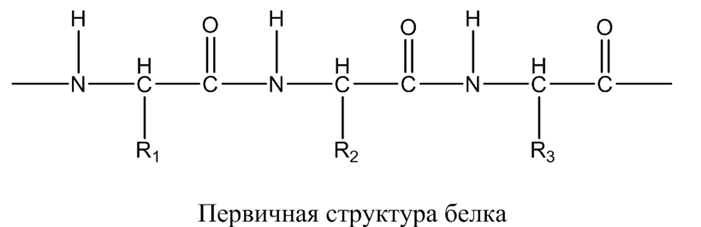 Органическая химия - основные понятия, что изучает, формулы и определения с примерами