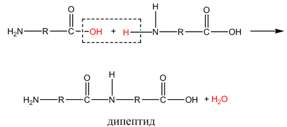 Органическая химия - основные понятия, что изучает, формулы и определения с примерами