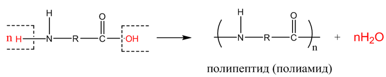 Органическая химия - основные понятия, что изучает, формулы и определения с примерами