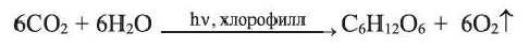 Углеводороды в химии - виды, классификация, формулы и определения с примерами