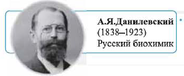 Углеводороды в химии - виды, классификация, формулы и определения с примерами