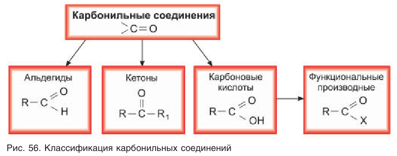 Альдегиды в химии - свойства, формула, получение, номенклатура и определение с примерами