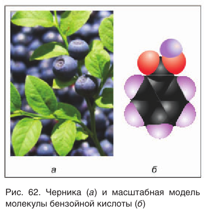 Карбоновые кислоты в химии - свойства, формула, получение, номенклатура и определение с примерами