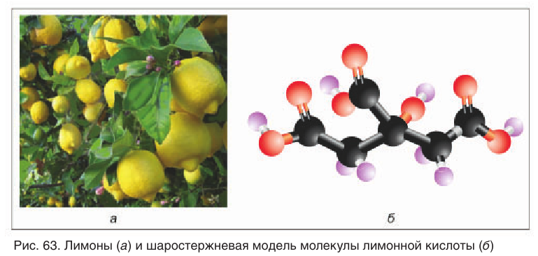 Карбоновые кислоты в химии - свойства, формула, получение, номенклатура и определение с примерами