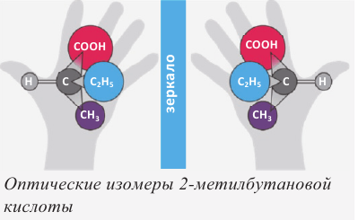 Кислородсодержащие органические соединения в химии - формулы и определения с примерами