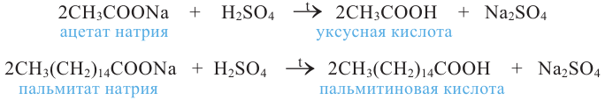 Кислородсодержащие органические соединения в химии - формулы и определения с примерами