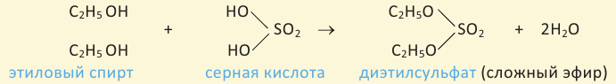 Кислородсодержащие органические соединения в химии - формулы и определения с примерами