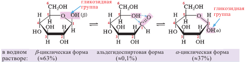 Функциональные группы в молекуле глюкозы. Ксилулоза циклическая форма. Циклическое соединение в химии формула. Циклические формы кислотосодержащих соединений. Циклическая форма дитизона.