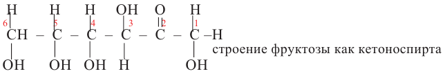 Кислородсодержащие органические соединения в химии - формулы и определения с примерами