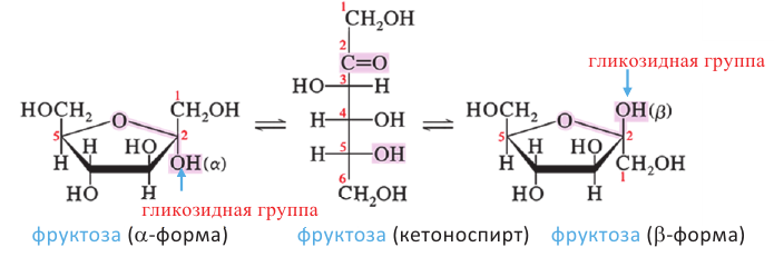 Кислородсодержащие органические соединения в химии - формулы и определения с примерами