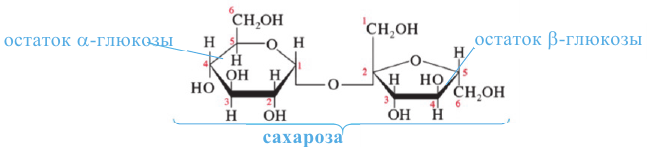 Строение молекулы сахарозы. Сахароза химия. 1) Молекула сахарозы состоит из остатков сахарозы и фруктозы;. Химические свойства фруктозы.