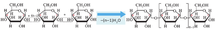 Реакция поликонденсации бета Глюкозы формула. Формула химических реагентов в реакции поликонденсации бета-Глюкозы. Уравнение поликонденсации Глюкозы формула. Реакция поликонденсации глюкозы