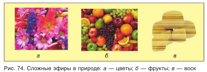 Сложные эфиры в химии - свойства, формула, получение, номенклатура и определение с примерами