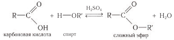 Сложные эфиры в химии - свойства, формула, получение, номенклатура и определение с примерами