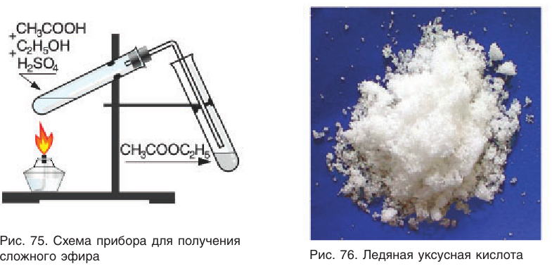 Сложные эфиры в химии - свойства, формула, получение, номенклатура и определение с примерами