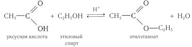 Сложные эфиры в химии - свойства, формула, получение, номенклатура и определение с примерами