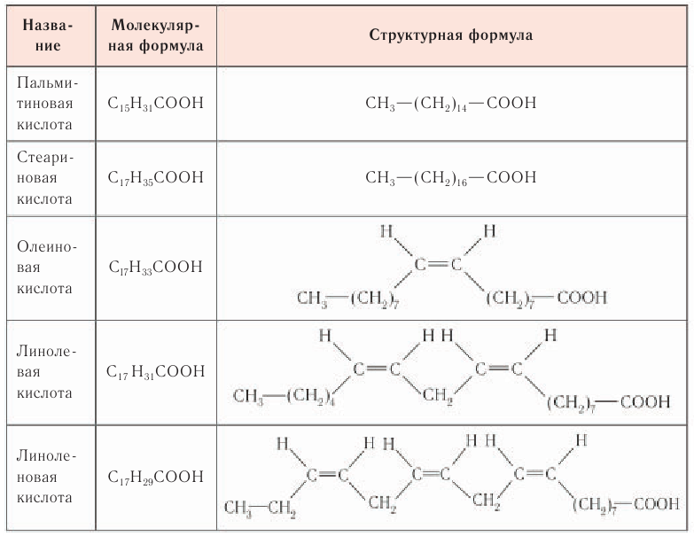 Жиры в химии - свойства, формула, получение, номенклатура и определение с примерами