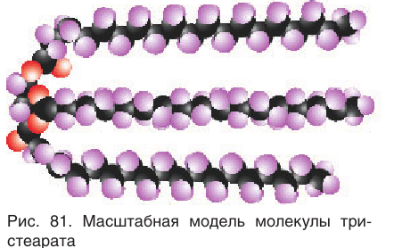 Жиры в химии - свойства, формула, получение, номенклатура и определение с примерами