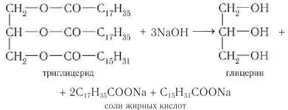 Жиры в химии - свойства, формула, получение, номенклатура и определение с примерами