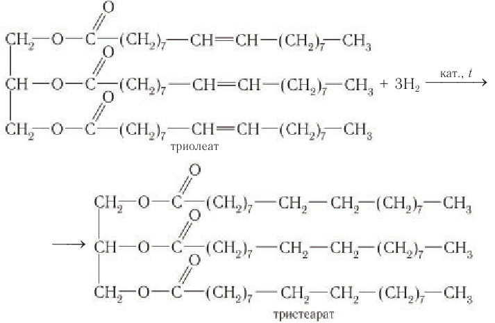 Жиры в химии - свойства, формула, получение, номенклатура и определение с примерами