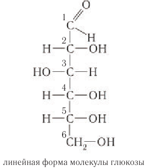 Углеводы в химии - свойства, формула, получение, номенклатура и определение с примерами