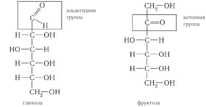 Углеводы в химии - свойства, формула, получение, номенклатура и определение с примерами