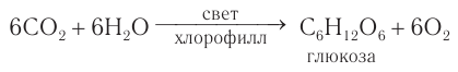 Углеводы в химии - свойства, формула, получение, номенклатура и определение с примерами