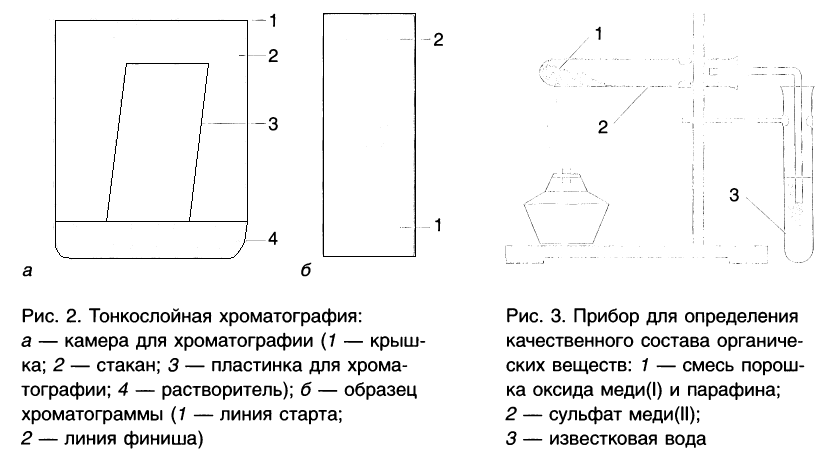 Органическая химия - основные понятия, что изучает, формулы и определения с примерами