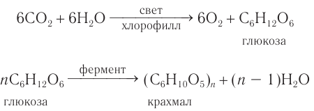 Углеводы в химии - свойства, формула, получение, номенклатура и определение с примерами