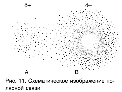 Органическая химия - основные понятия, что изучает, формулы и определения с примерами