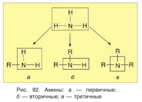 Амины в химии - свойства, формула, получение, номенклатура и определение с примерами