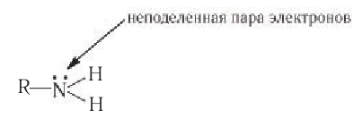 Амины в химии - свойства, формула, получение, номенклатура и определение с примерами