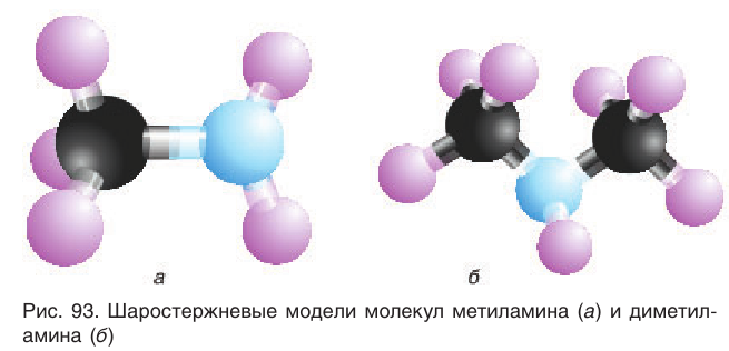 Амины в химии - свойства, формула, получение, номенклатура и определение с примерами