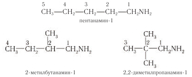 Амины в химии - свойства, формула, получение, номенклатура и определение с примерами