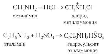 Амины в химии - свойства, формула, получение, номенклатура и определение с примерами