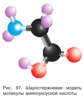 Амины в химии - свойства, формула, получение, номенклатура и определение с примерами