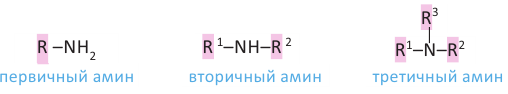 Азотсодержащие органические соединения в химии - формулы и определения с примерами