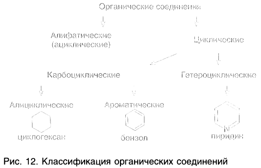 Органическая химия - основные понятия, что изучает, формулы и определения с примерами