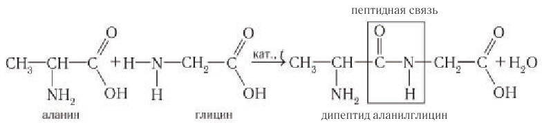 Глицин химические свойства