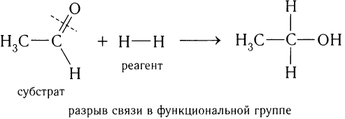 Органическая химия - основные понятия, что изучает, формулы и определения с примерами