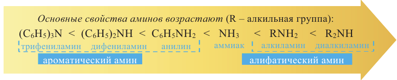 Азотсодержащие органические соединения в химии - формулы и определения с примерами