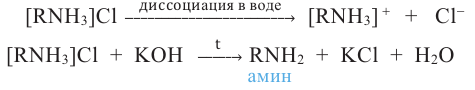 Азотсодержащие органические соединения в химии - формулы и определения с примерами