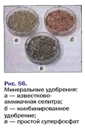 Неметаллы в химии - формулы и определение с примерами