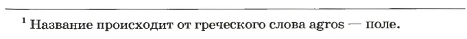 Неметаллы в химии - формулы и определение с примерами