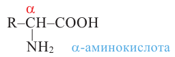 Азотсодержащие органические соединения в химии - формулы и определения с примерами